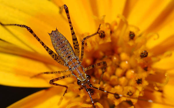 Cold or allergic reaction medication, narcotic discomfort medication, sleeping tablets, various other muscle mass relaxers, as well as medication for seizures, depression or anxiety could include to drowsiness brought on by tizanidine.