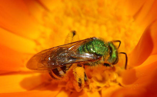 Do not make use of tizanidine at a time when muscle tone is should assure safe balance as well as activity for specific activities.