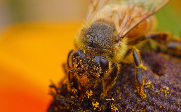 Cold or allergic reaction medicine, numbing pain medicine, resting tablets, other muscular tissue relaxers, as well as medicine for seizures, depression or anxiousness can contribute to sleepiness created by tizanidine.